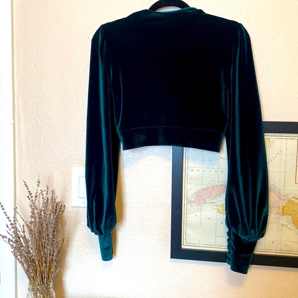 Scorpio Rising Emerald Velvet Crop - Picture 4 of 5